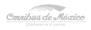 omnibus