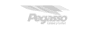 pegaso