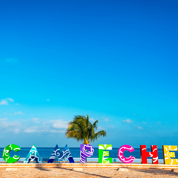 image-header