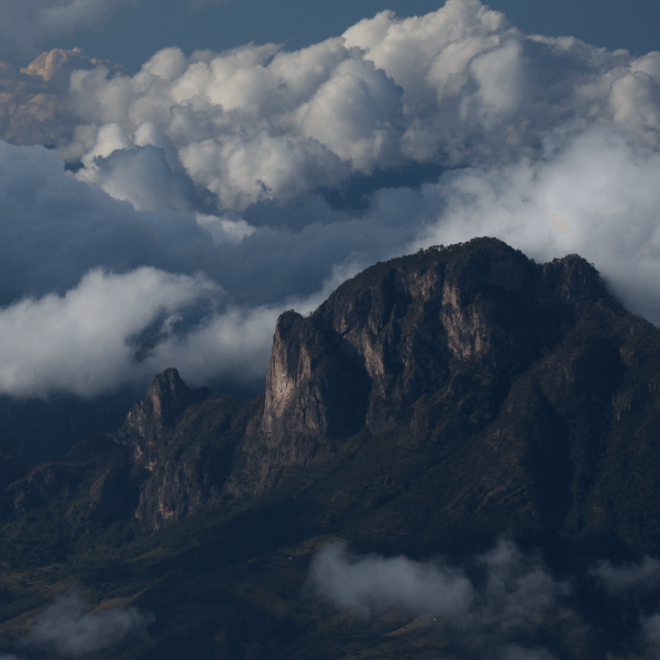 image-header