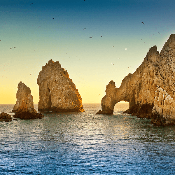 image-header
