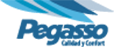 Empresa Pegasso en Mexico